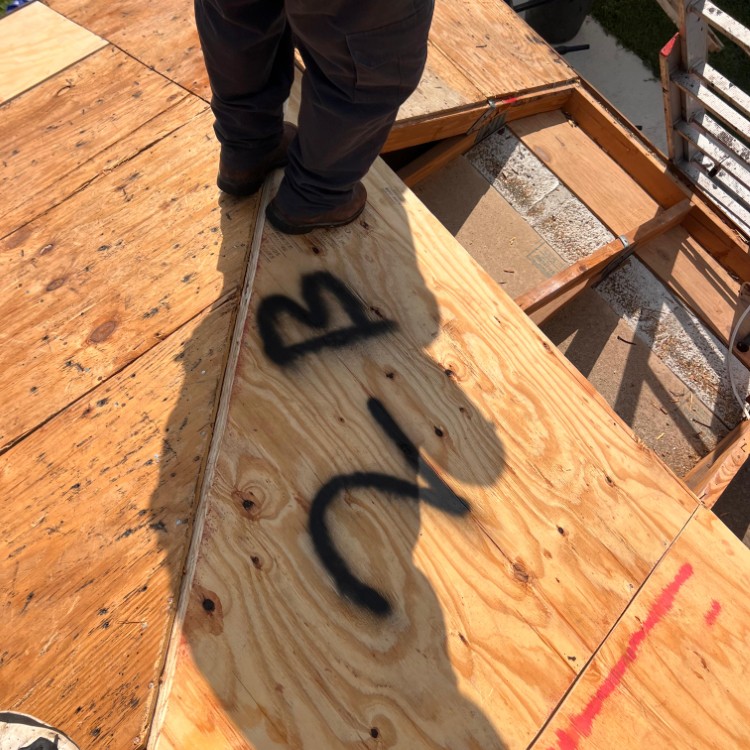 Just another WordPress site