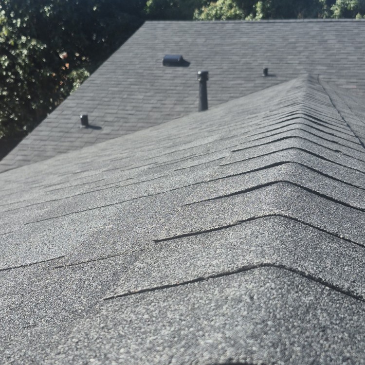 Just another WordPress site