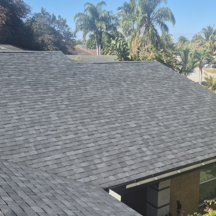 Just another WordPress site