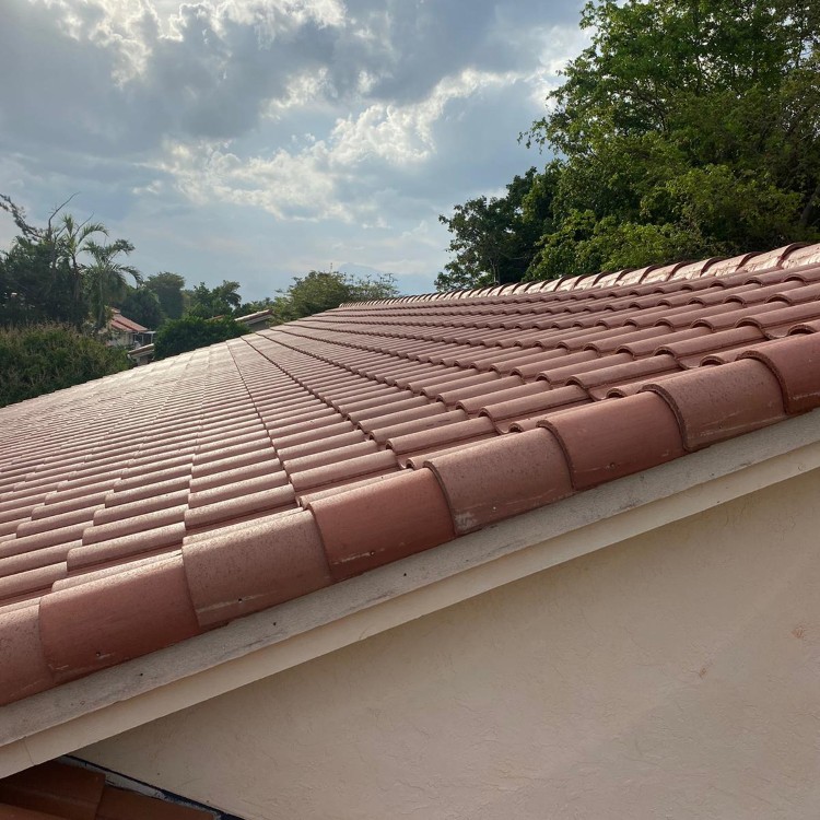 Just another WordPress site